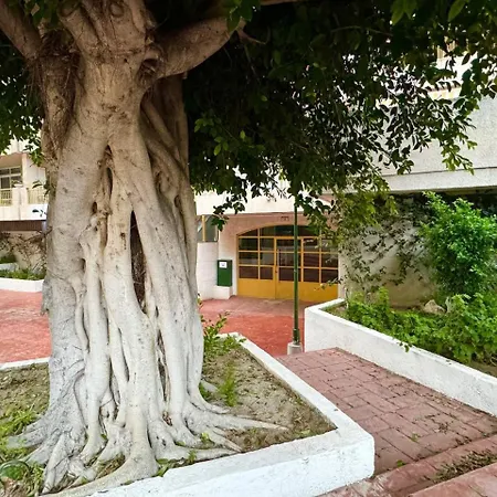 Apartment Apartsalou Masia *