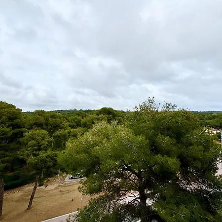 아파트 Apartsalou Masia 살루