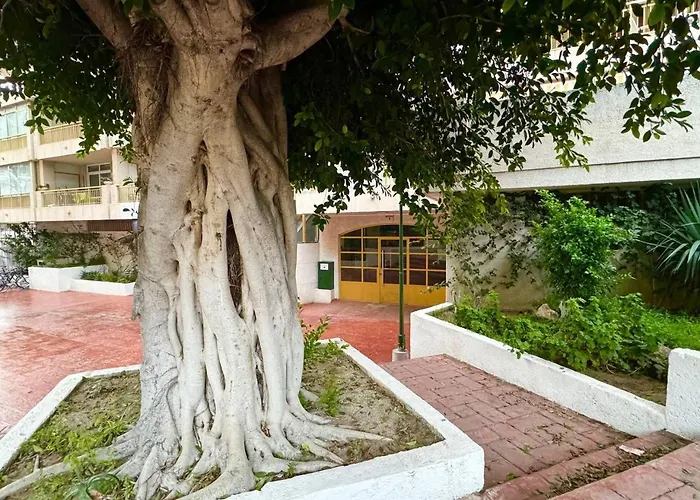 아파트 Apartsalou Masia *